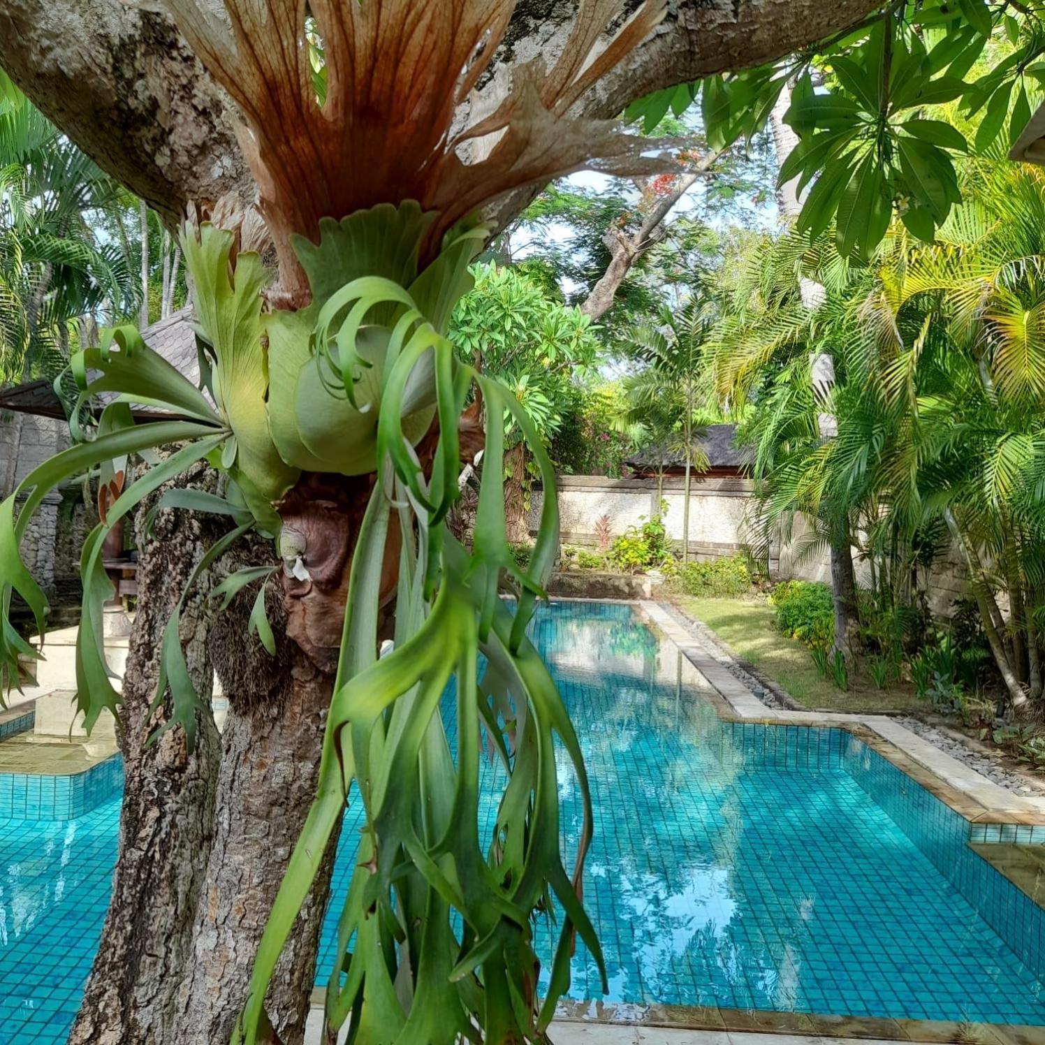 The Royal Beach Seminyak  Luaran gambar