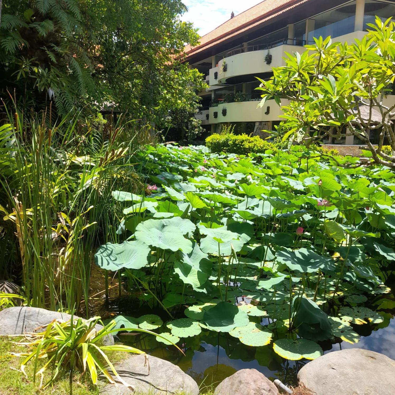 The Royal Beach Seminyak  Luaran gambar